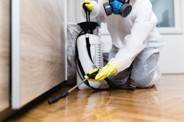 Best Pest Inspection Near Me  in Janesville, CA