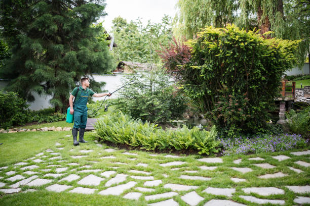Best Best Pest Control Companies  in Janesville, CA