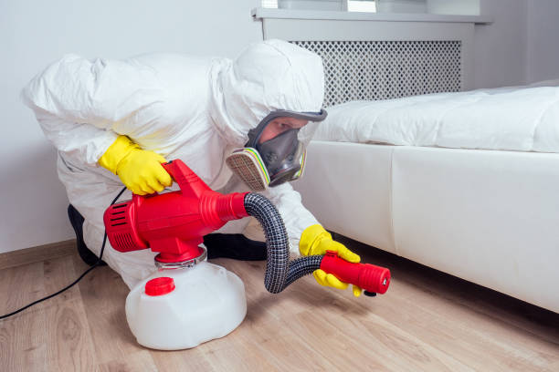 Best Local Pest Control Services  in Janesville, CA