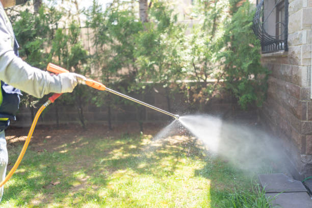Best Bird Control  in Janesville, CA