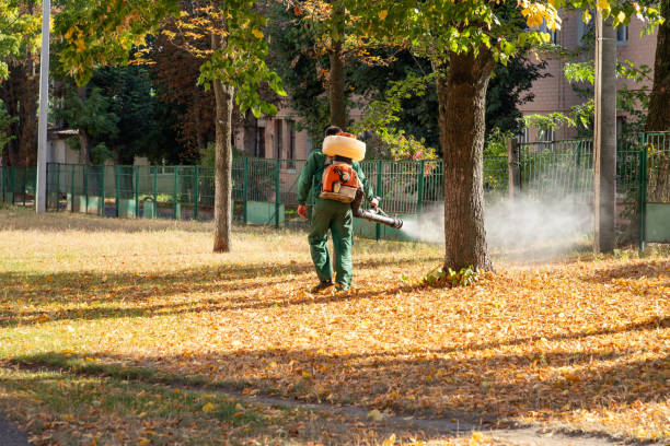 Best Affordable Pest Control Services  in Janesville, CA