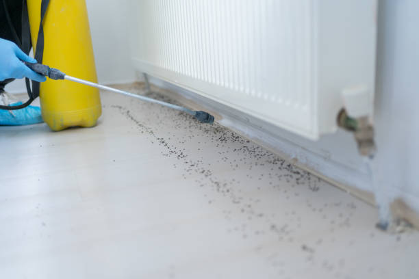 Reliable Janesville, CA Pest Control Solutions