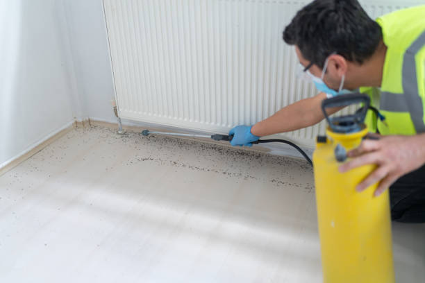 Best Wasp Removal Services  in Janesville, CA
