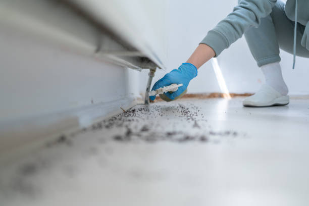 Best Flea Control Services  in Janesville, CA