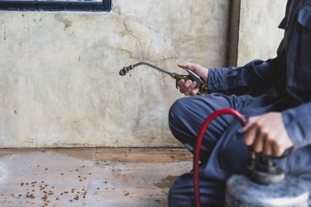 Best Pest Removal Services  in Janesville, CA